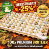 Bruteier Wachteln