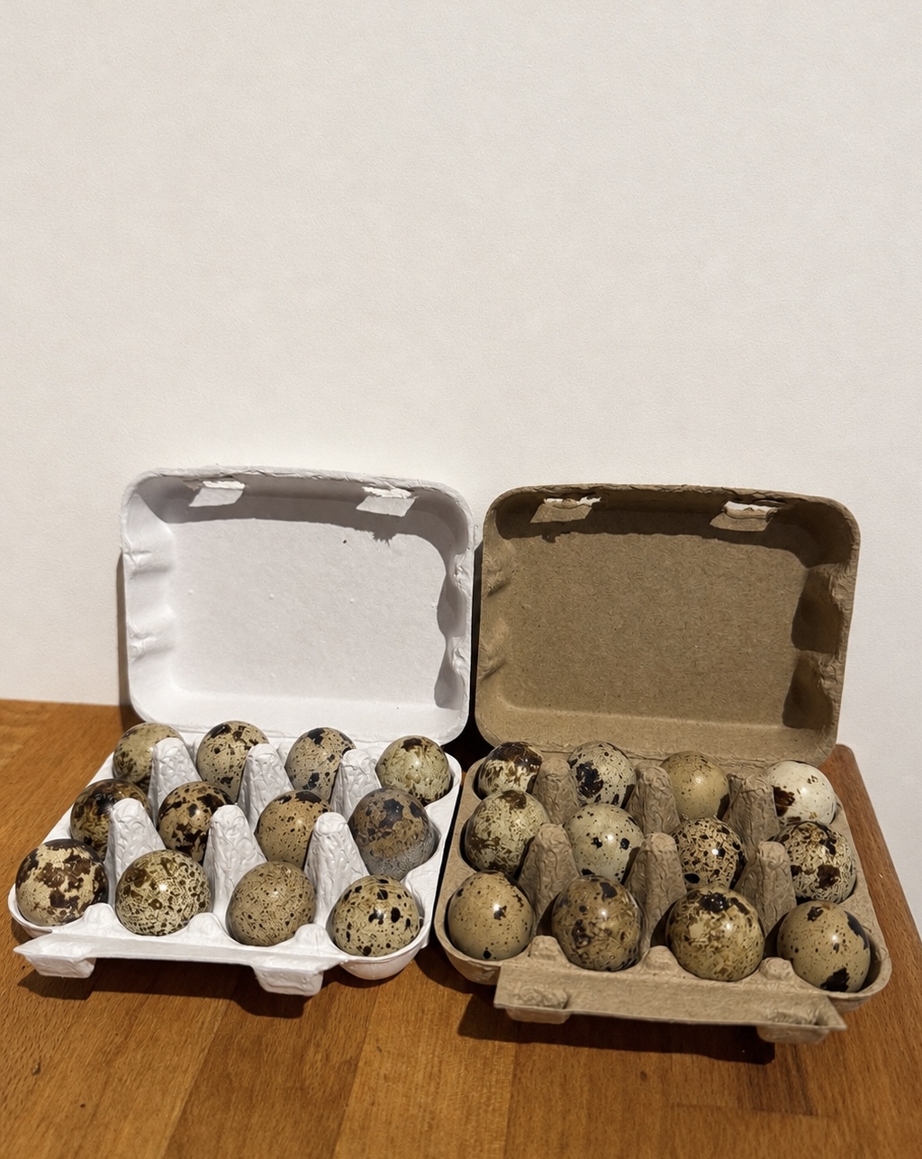 10x Wachteleierschachteln 12er